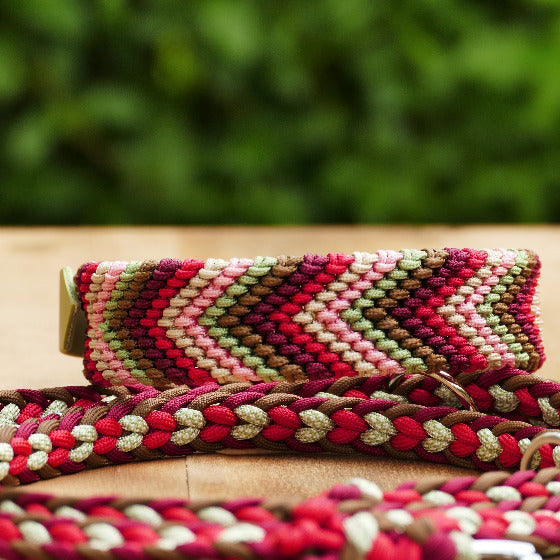 Hundelasband und Leine liegen auf einem Holzbrett