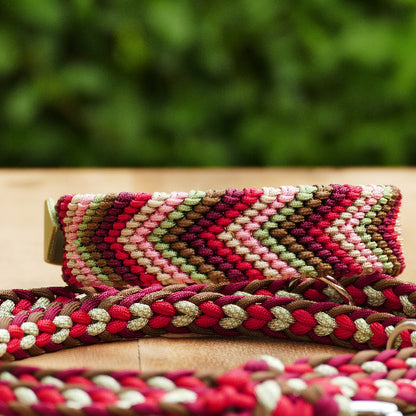 Hundelasband und Leine liegen auf einem Holzbrett