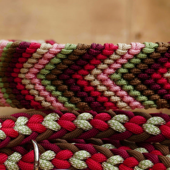 Nahaufnahe vom Hundehalsband