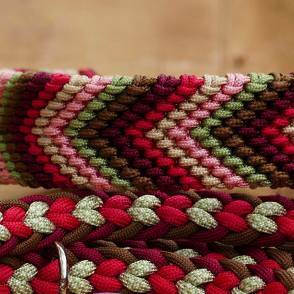 Nahaufnahe vom Hundehalsband