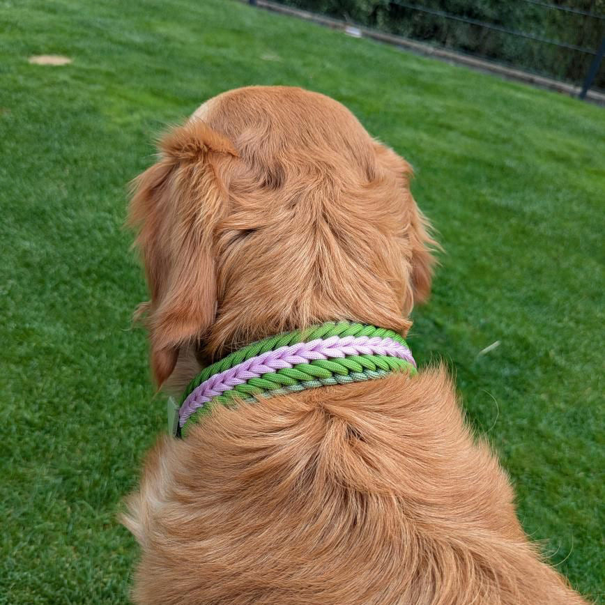 Halsband "Shining" schmal