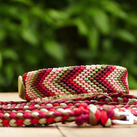 ein Freundschaftshalsband liegt mit einer Hundeleine auf einem Holzbrett